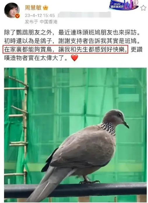 _出轨后原谅的婚姻到底怎样_出轨的婚姻原谅了能走到老吗